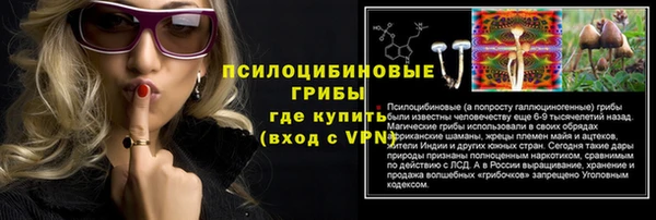 прущий лед Алзамай