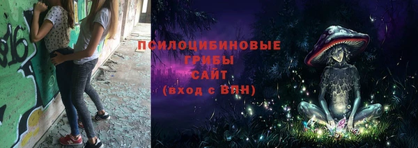 прущие грибы Алексеевка