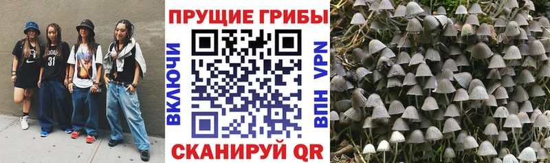 Галлюциногенные грибы Magic Shrooms Анапа